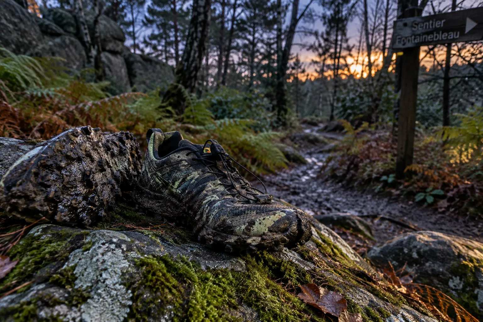 Chaussures de trail pour le cross-triathlon : critères de choix