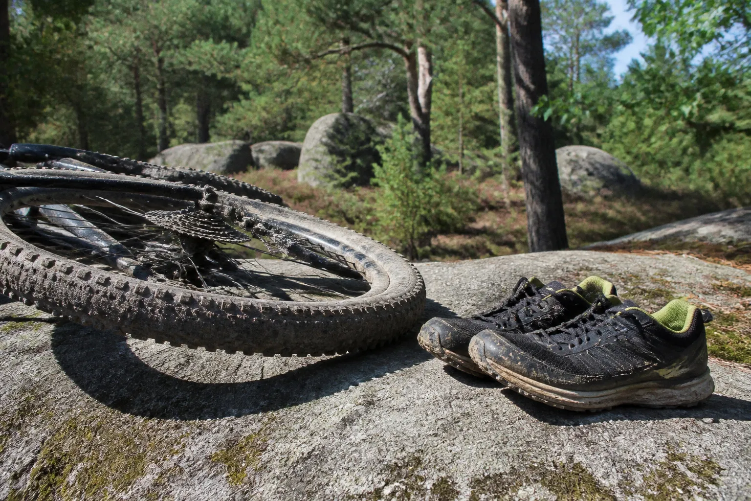 Circuit de transition VTT et trail à Fontainebleau