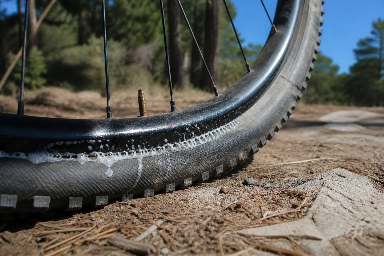 Pneus tubeless en VTT : ce qui change vraiment