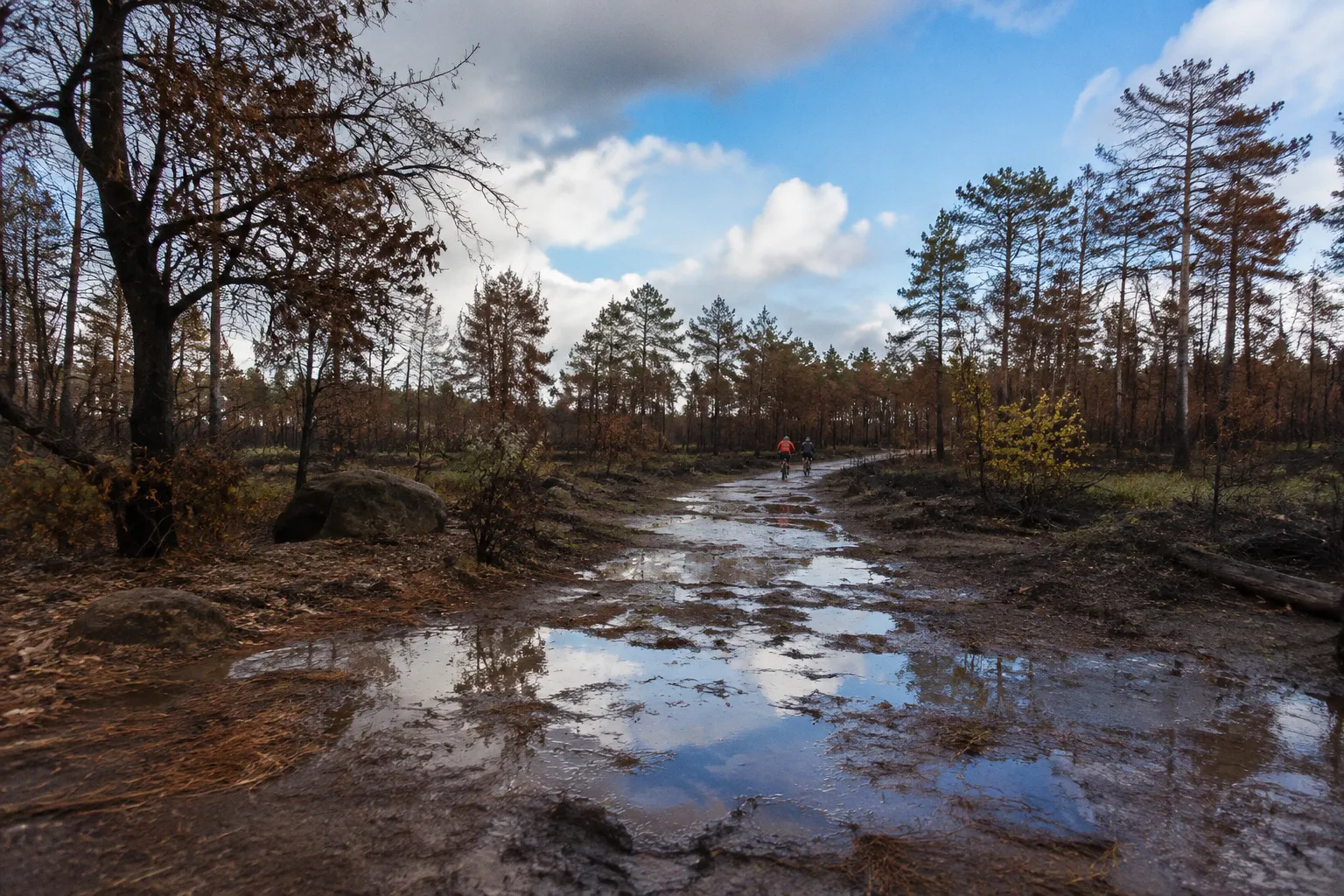 Triathlon à Fontainebleau : comment adapter son entraînement face aux caprices météo